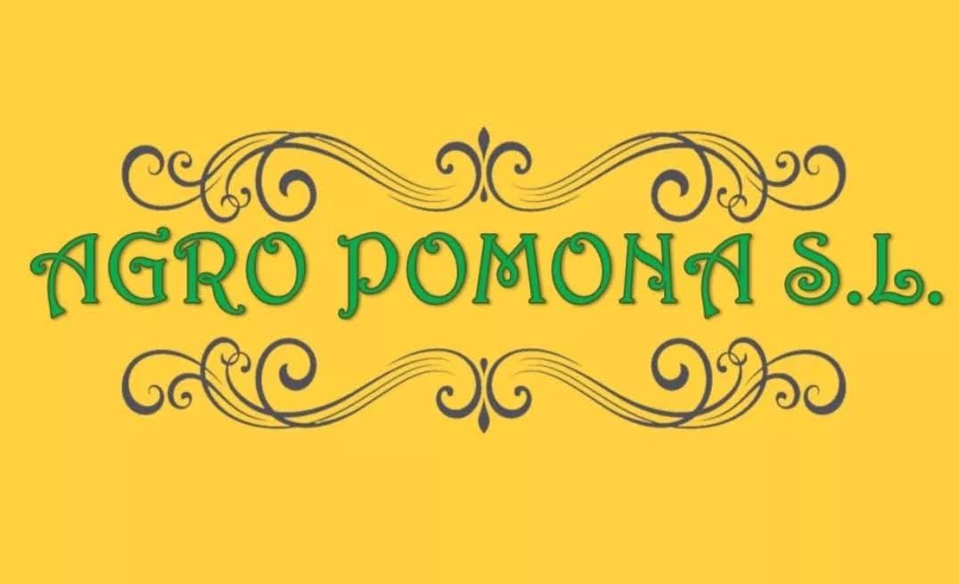 Logo de mi empresa